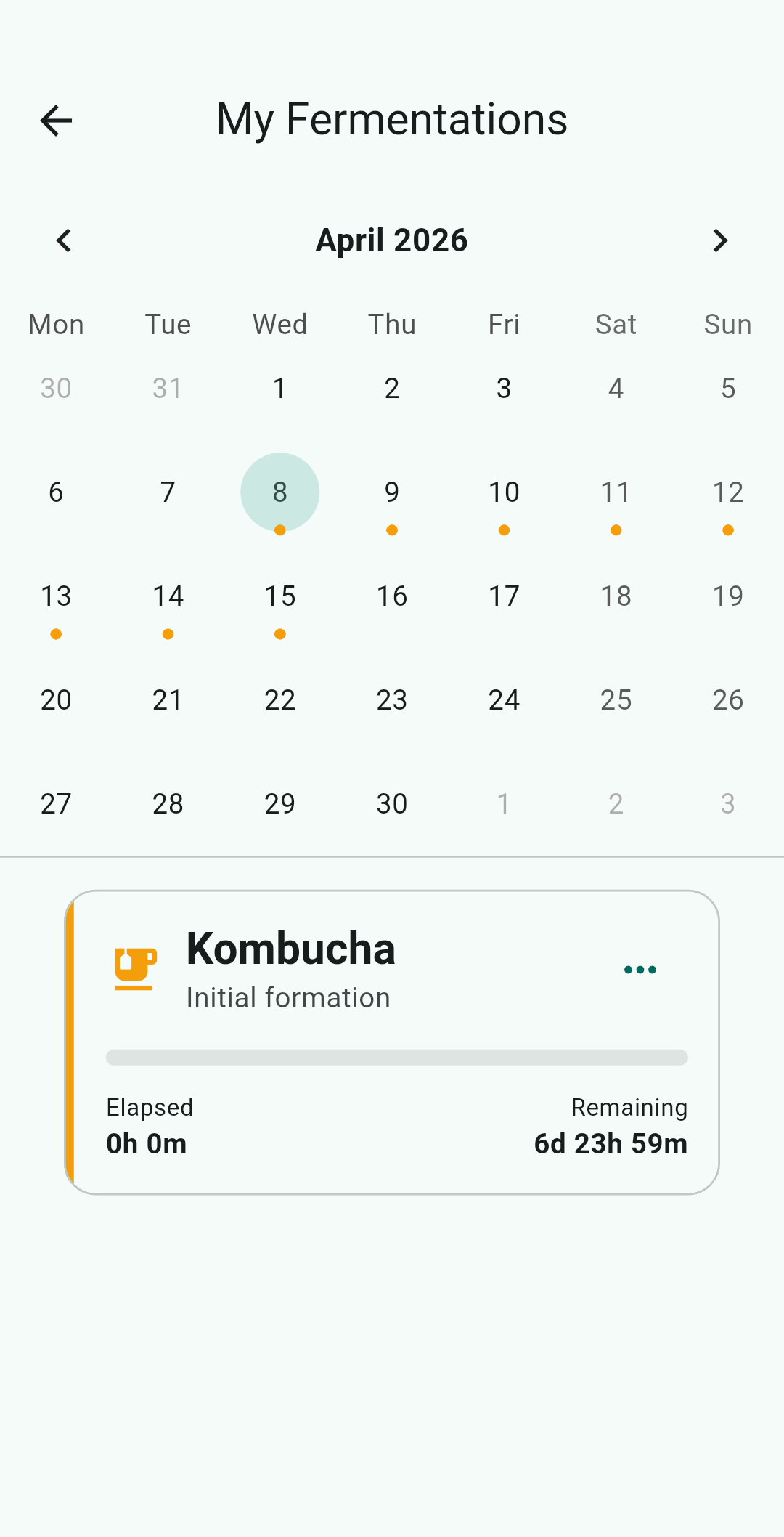 Kefir Control App Mockup